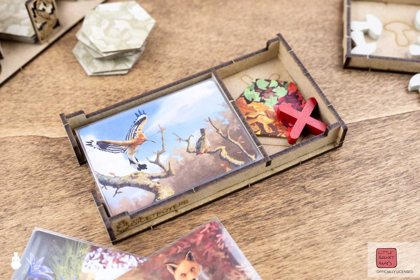 FALL – ORGANIZER - immagine 5