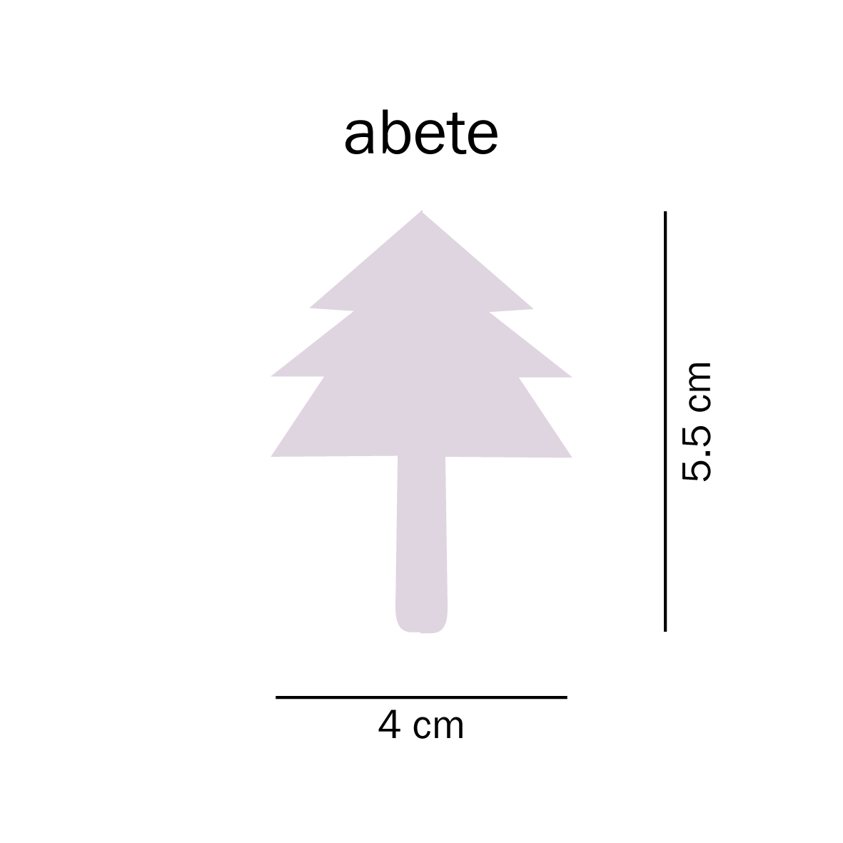 abete - immagine 8