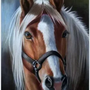 Diamond painting Il Cavallo