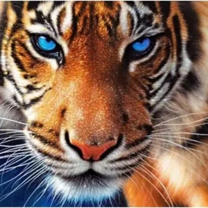 Diamond painting la tigre