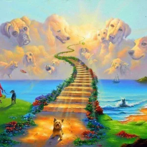 Diamond Painting Paradiso Cani