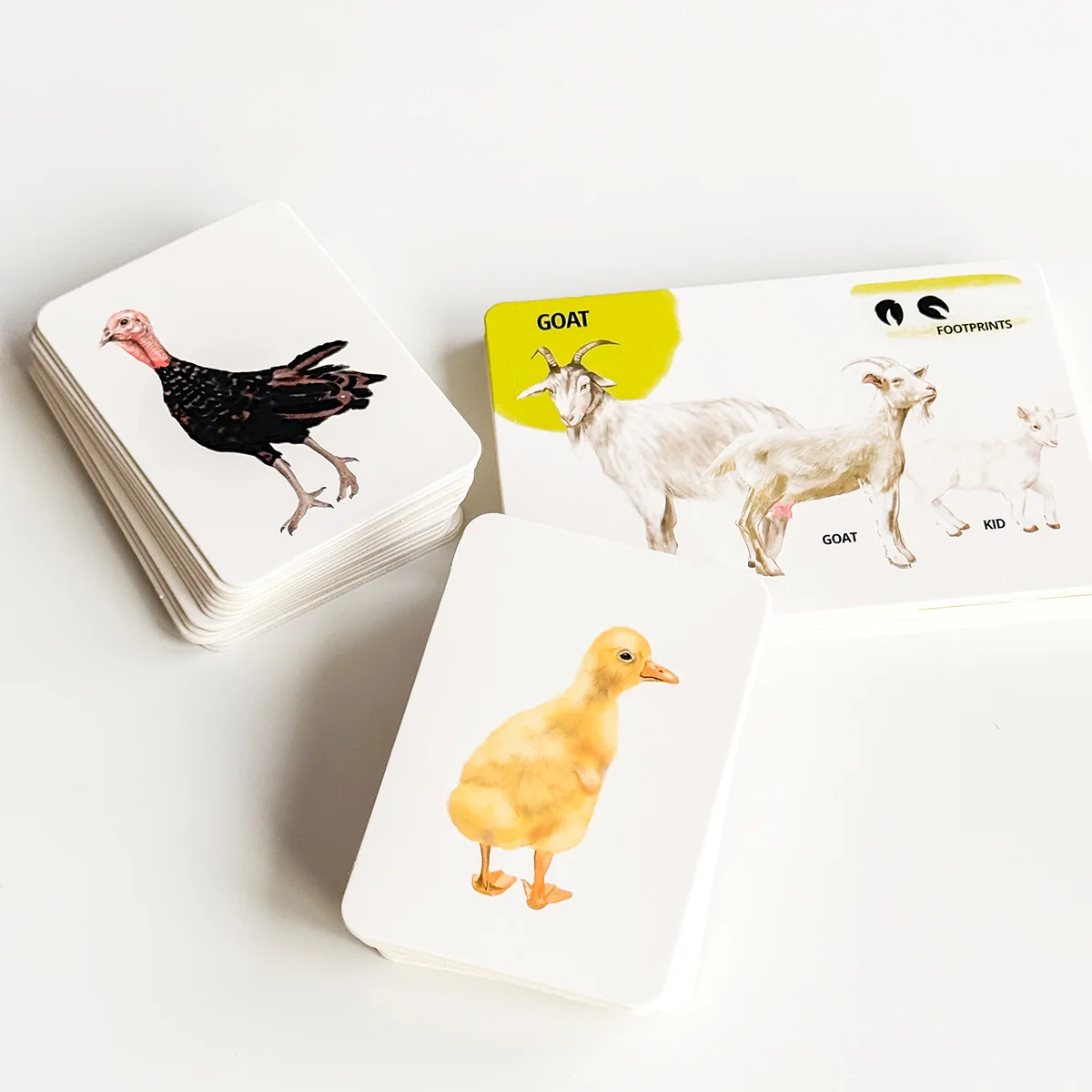 Set di Carte Educative: Animali della Fattoria - immagine 6