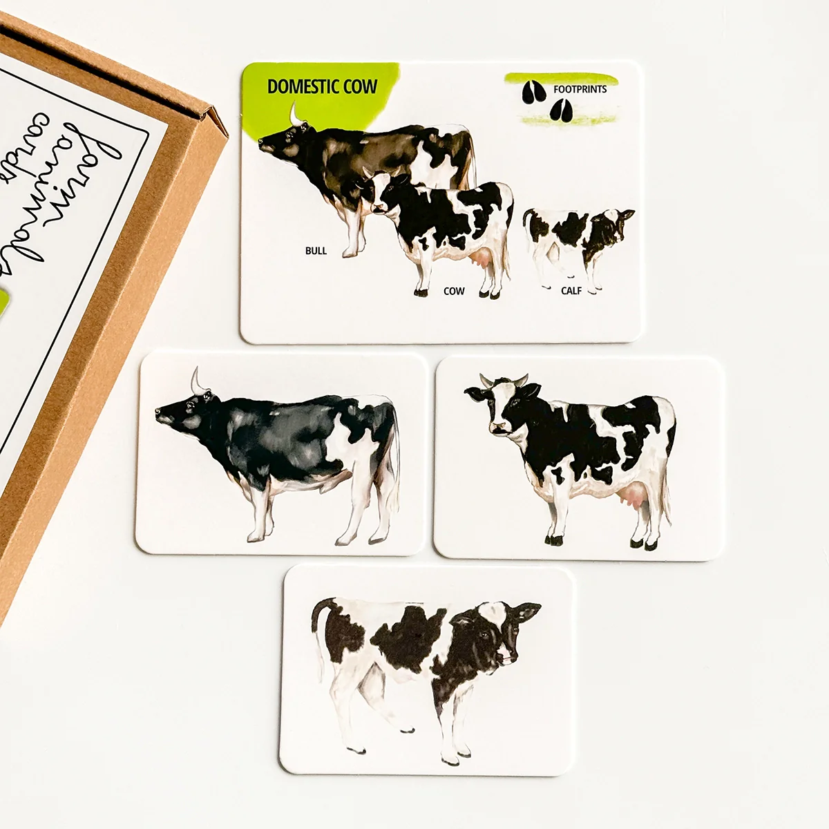 Set di Carte Educative: Animali della Fattoria - immagine 5