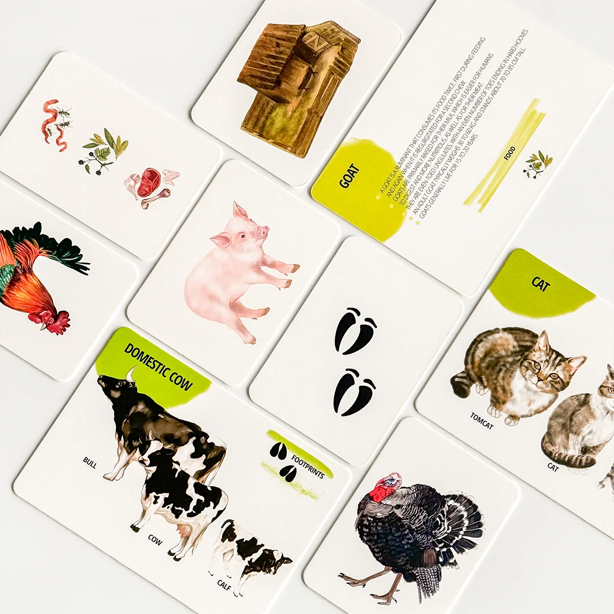 Set di Carte Educative: Animali della Fattoria - immagine 3