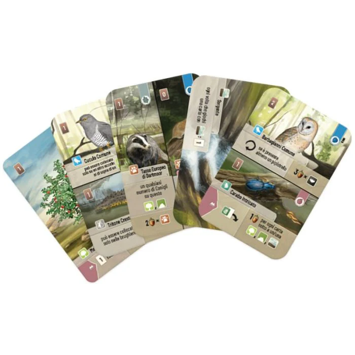 Forest Shuffle - Dartmoor - immagine 3