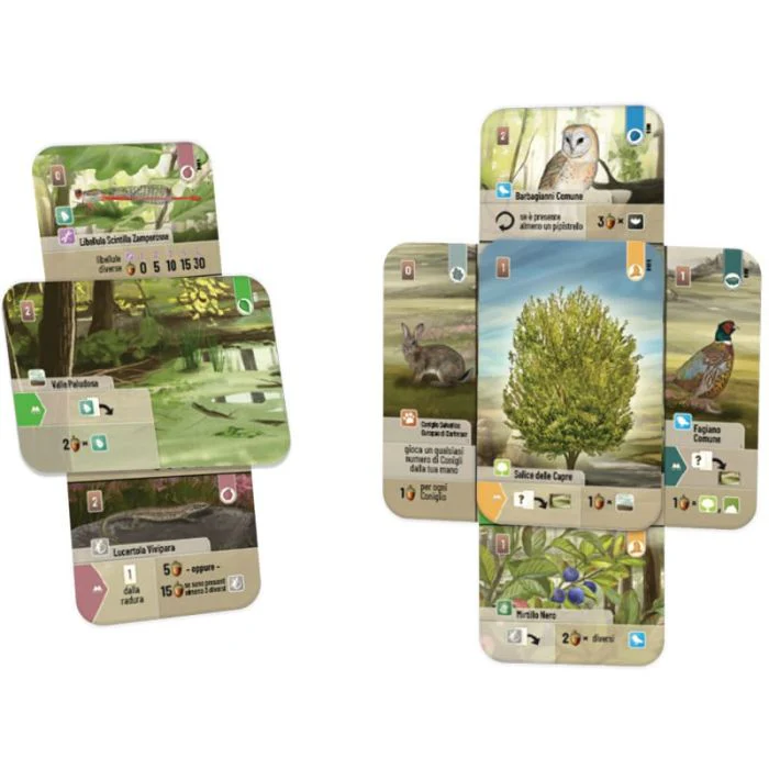 Forest Shuffle - Dartmoor - immagine 4