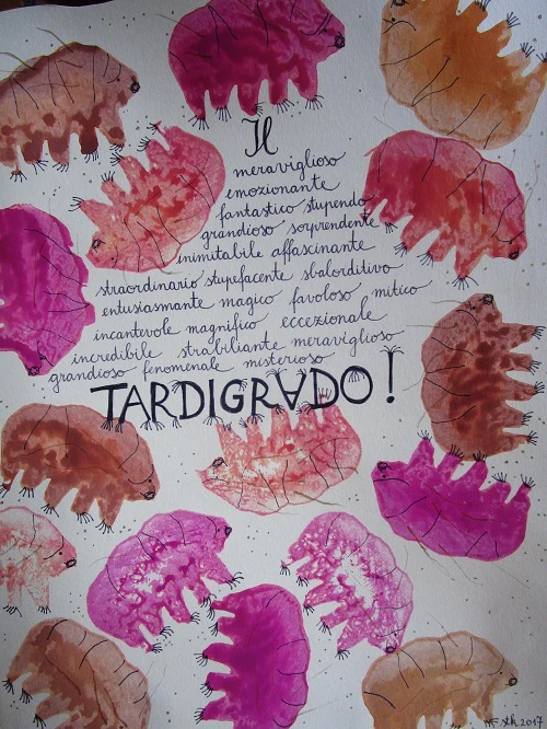 Lapbook "Il Tardigrado" (Water Bear Lapbook). Formato pdf, età 6-14 anni. - immagine 5