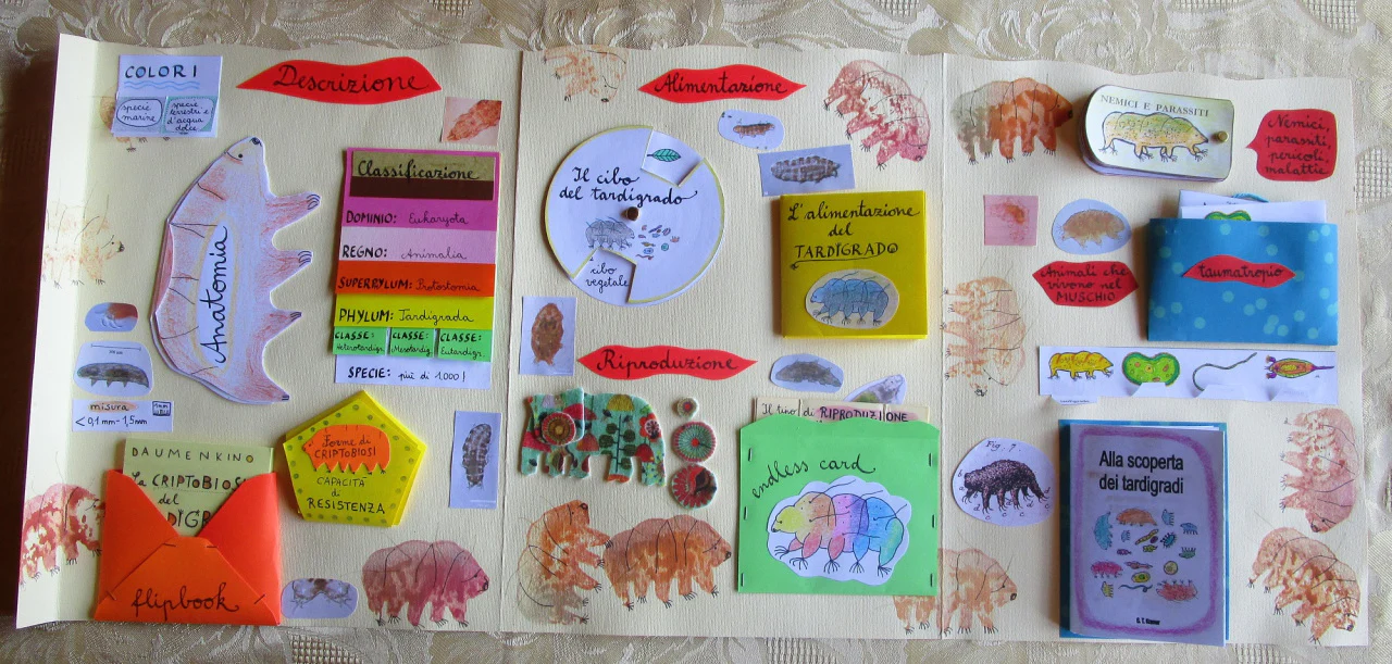 Lapbook "Il Tardigrado" (Water Bear Lapbook). Formato pdf, età 6-14 anni. - immagine 4