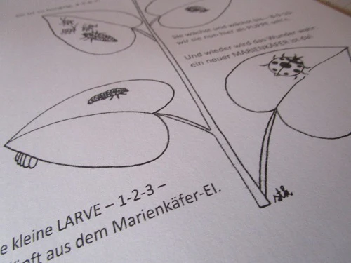 FUNLAB “Le Coccinelle” giochi e materiali didattici multilingua. Formato pdf, età 5-9. - immagine 5