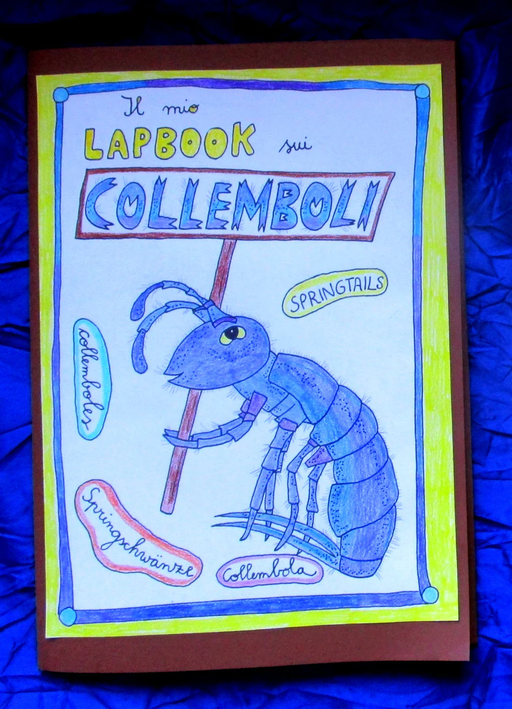 Corso di Scienze 4 Elementare. Un anno in un mese. Formato Pdf. - immagine 3