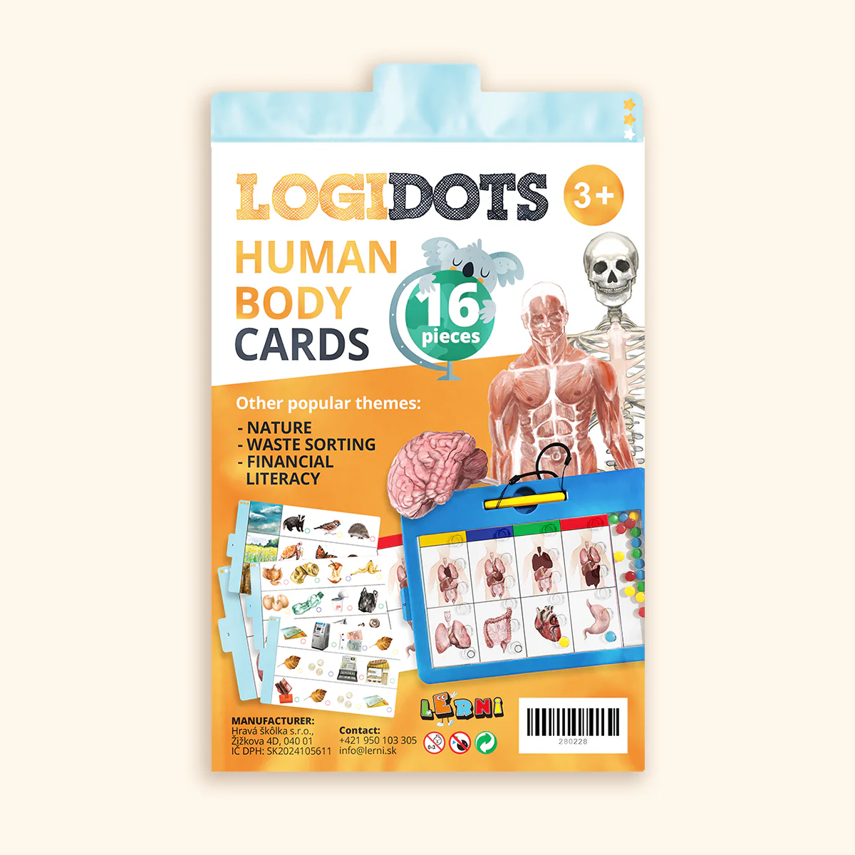 Carte LOGIDOTS - Corpo Umano - immagine 2