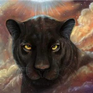 Diamond Painting Pantera Nera