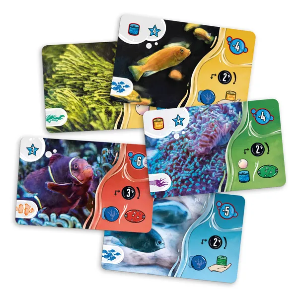 Aquaria - immagine 4