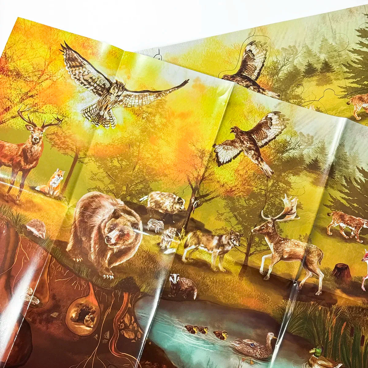 Puzzle da pavimento Bosco - immagine 9