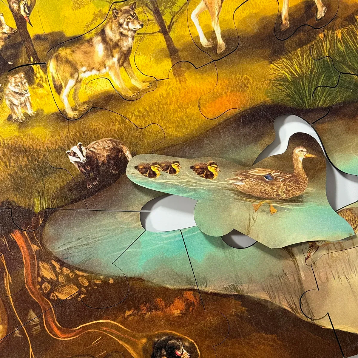 Puzzle da pavimento Bosco - immagine 7