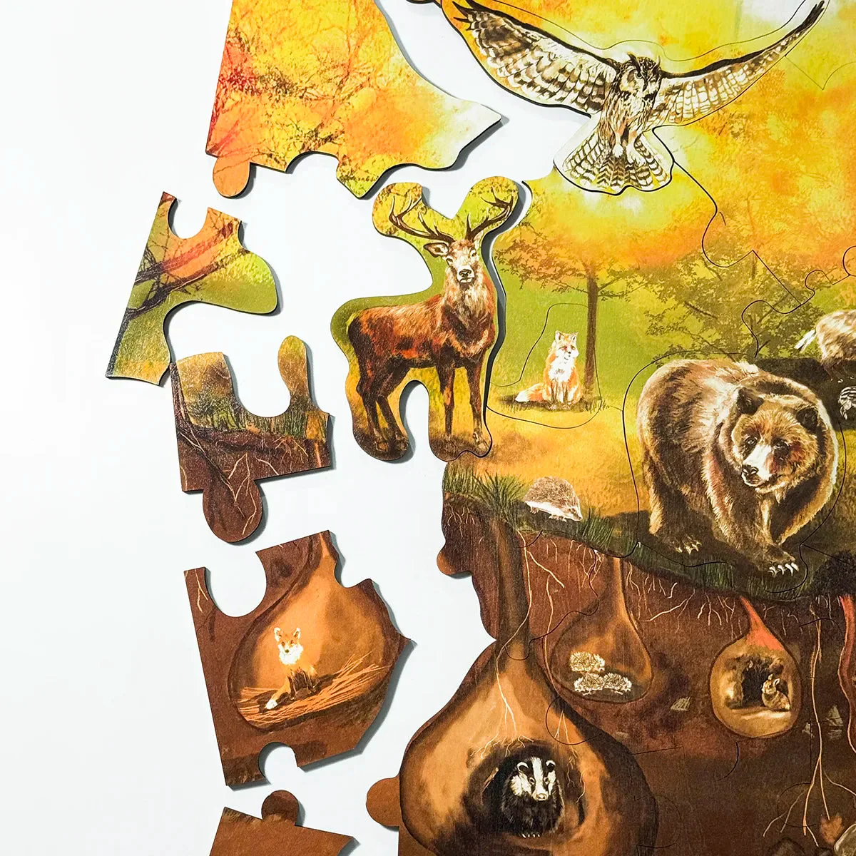 Puzzle da pavimento Bosco - immagine 3