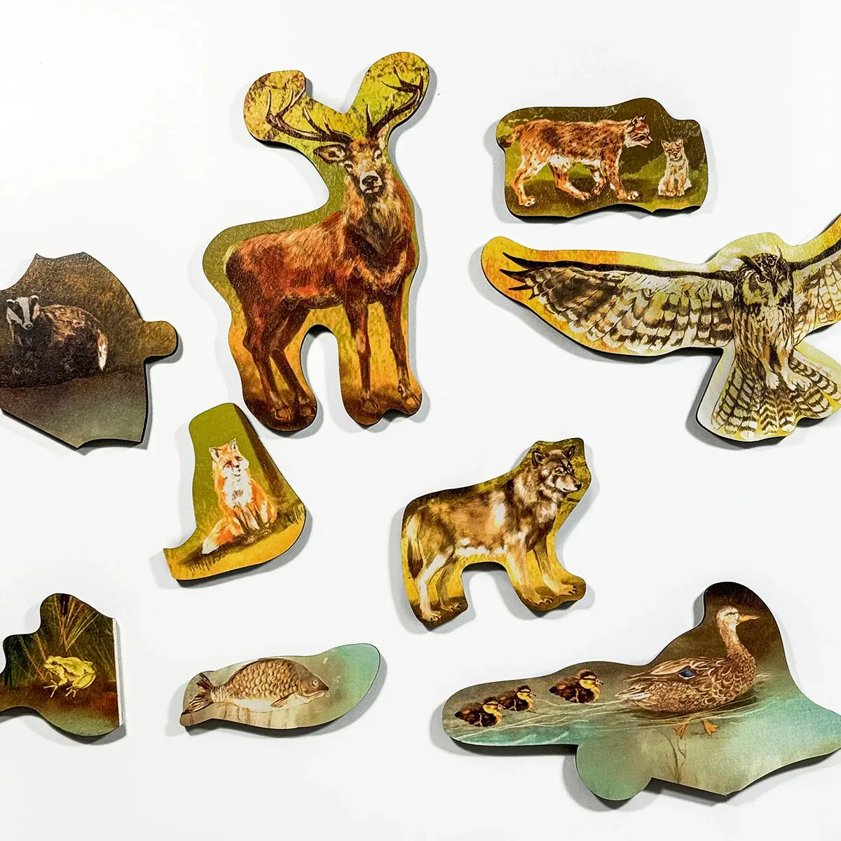 Puzzle da pavimento Bosco - immagine 5