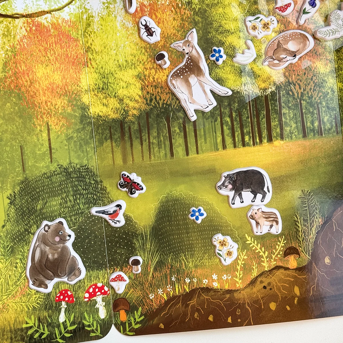 Set di 3D REstickiez -25% - immagine 5