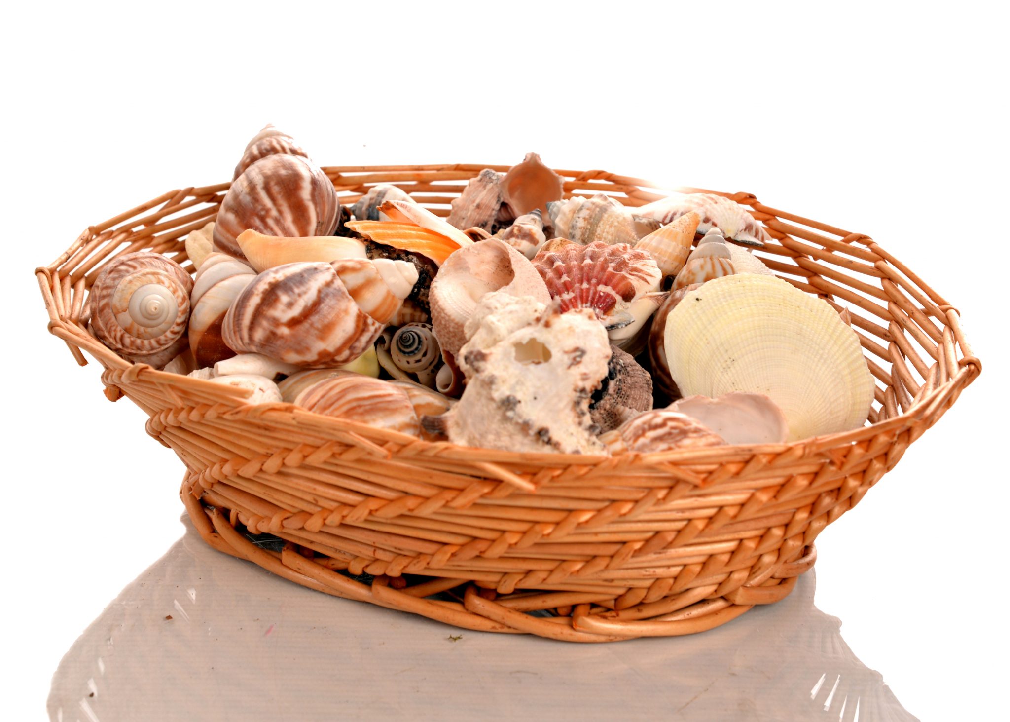 CONCHIGLIE – MIX CESTINO 900gr - immagine 2