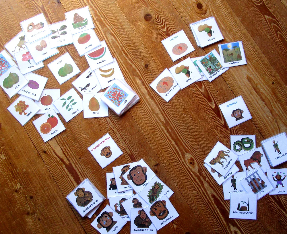 FUnLab “Arcimboldo”. Raccolta di giochi e materiali didattici in pdf. Età 4-10 anni. - immagine 5