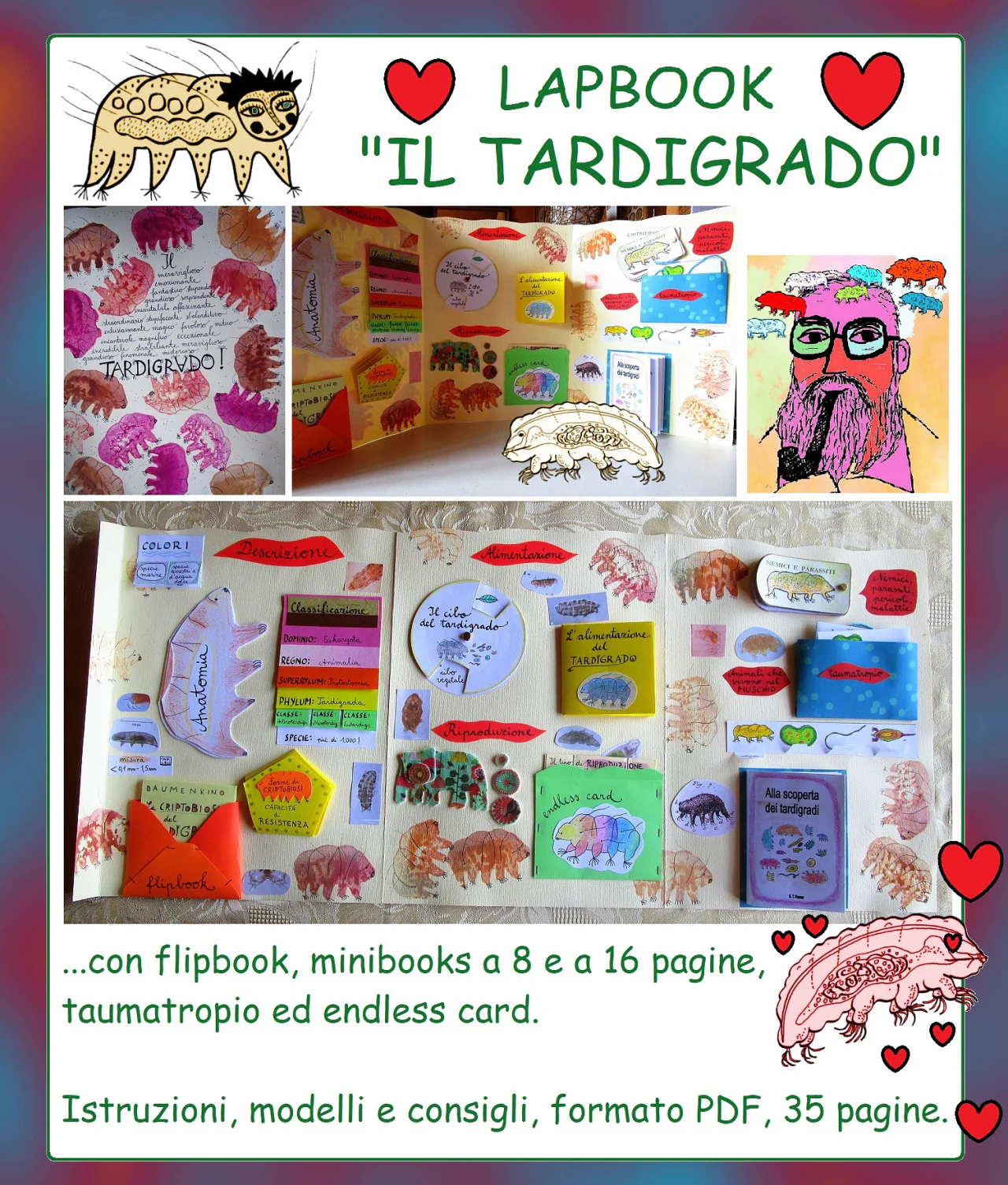 Lapbook "Il Tardigrado" (Water Bear Lapbook). Formato pdf, età 6-14 anni. - immagine 3
