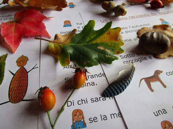 Raccolta Giochi Didattici "Autunno" multilingua. Formato pdf, età 4-10 - immagine 8