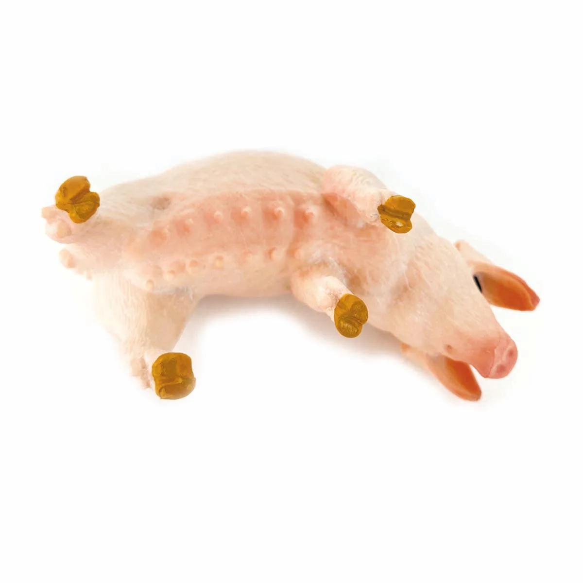 Set di Figure di Animali della Fattoria - immagine 4